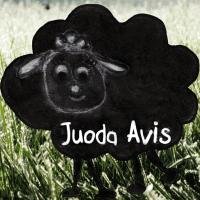 Juoda avis, VŠĮ