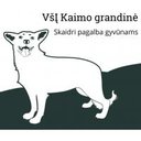 Kaimo grandinė, VŠĮ