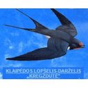 Kregždutė, Klaipėdos lopšelis-darželis