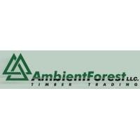 AMBIENT FOREST L.L.C. atstovybė