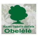 Obelėlė, Kauno lopšelis-darželis