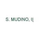 S. MUDINO, IĮ