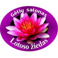 Gėlių salonas Lotoso žiedas, IĮ