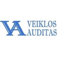 Veiklos auditas, UAB