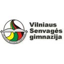 Vilniaus Senvagės gimnazija