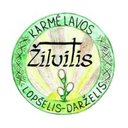 Kauno r. Karmėlavos lopšelis-darželis Žilvitis