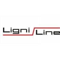 Ligni linea, UAB