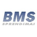 BMS SPRENDIMAI, UAB